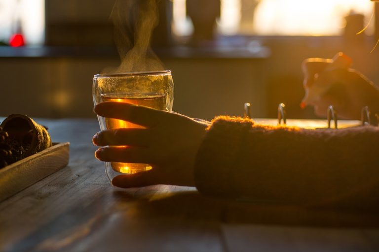 Čertův dráp jako známá/neznámá léčivá rostlina. Znáte její účinky?