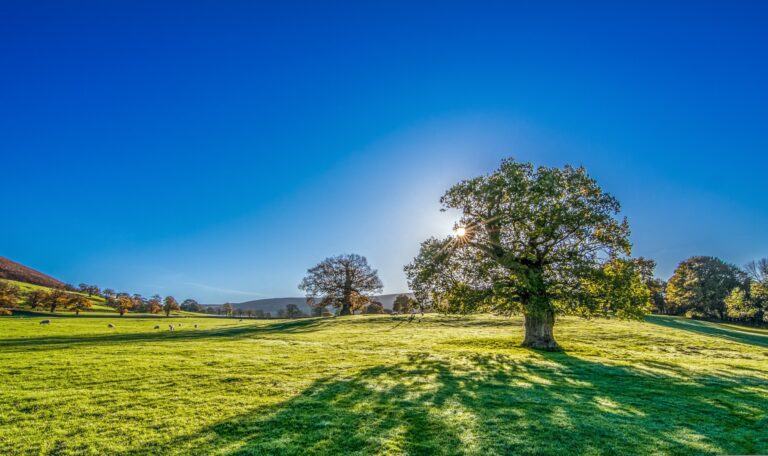Vitamin D: proč se o něm mluví a jak ho doplňovat