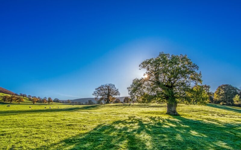 Vitamin D: proč se o něm mluví a jak ho doplňovat